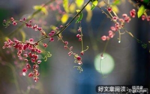 粗重的名言_关于粗重的名言
