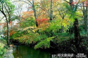 总归的优美句子