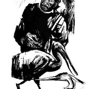 孤人与鸟群