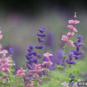 做三四月的事，在八九月自有答案