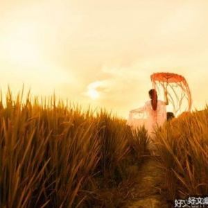 茶会凉，人会变，心会寒，缘会散...