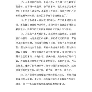我的高中时代优美的句子