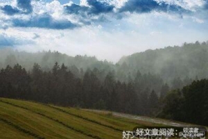 那些逼自己努力的人，真的很可怕