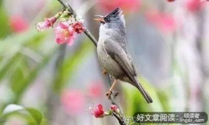 有用的的句子
