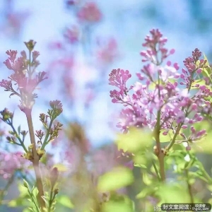 生活，越简单越幸福