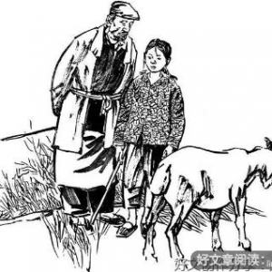 谁是好人