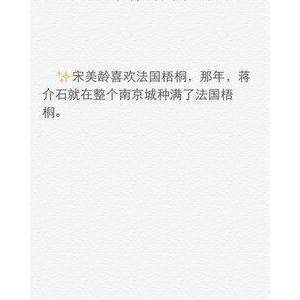有关喜欢的美句的句子