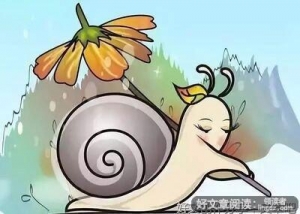 杂加的句子