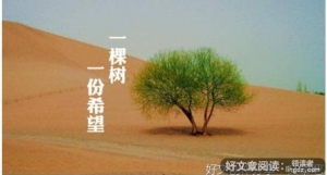 唉的句子