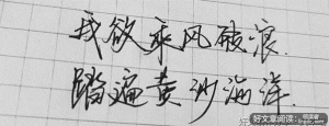 有关每日文素的句子