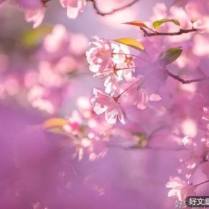岁月证明一切，时光最懂人心
