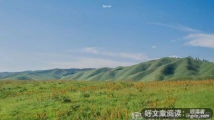 《辛夷坞》的句子