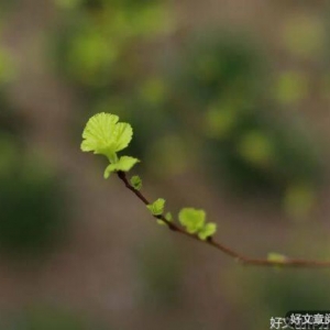 人生，要有“三得”