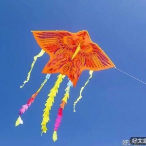 让心情变好的五个习惯，一定要养成