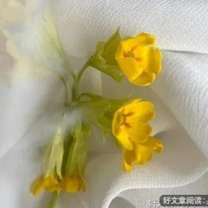 一生，别等！（深刻）
