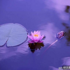 人生最难的是什么？（此文已火）