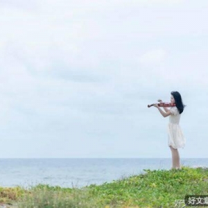 深耕自己（此文无价）