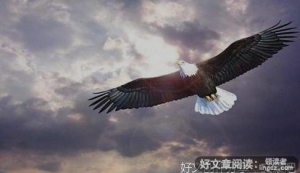 自律点亮人生读后感精选
