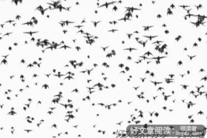 听风句子大全