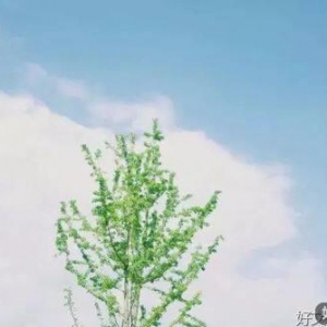 与美好相遇，与阳光同行