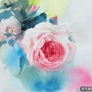 心淡了，幸福就多了