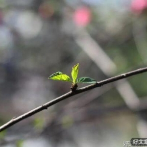 人生没有完美，只有完善
