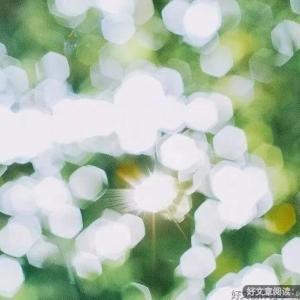 从今天起，做一个幸福的人