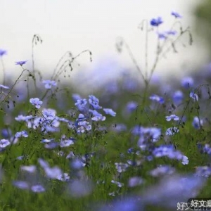 余生，努力成为更好的自己