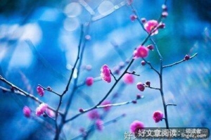 骚句迷的优美句子