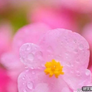 从今天起，做一个可爱的人