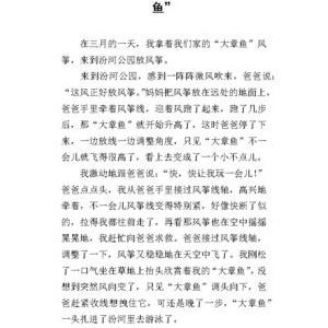 关于放风筝的作文