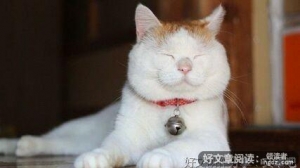 茉好词好句