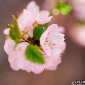 管它晴天雨天，笑对人生每一天