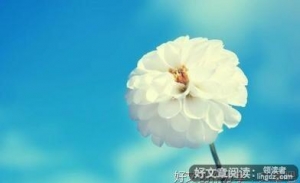 人生真谛句子大全