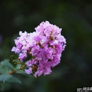 父亲的格局，母亲的情绪，是一个家最好的风水