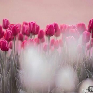 愿你的温柔自带锋芒