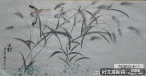 有关秋天的田野的作文