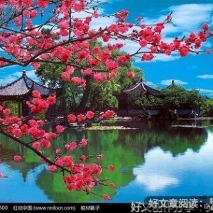 《古風》的句子