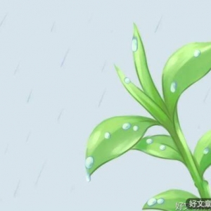 风来听风，雨来赏雨
