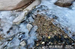 凝久句子大全