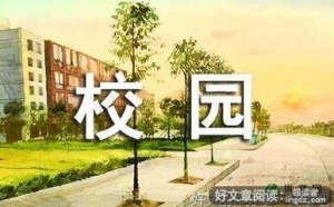 高一作文700字