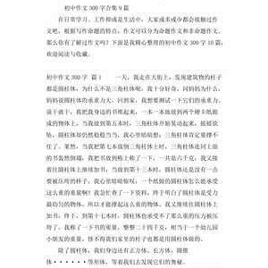 这一夜作文300字