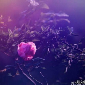 牵挂，是人间最美的情！