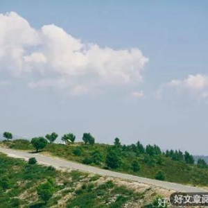 总有一种美好，温暖了岁月