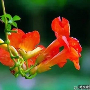 忘记年龄，开心做自己