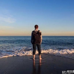 改变一生的三大强者效应：鲶鱼效应，鳄鱼效应，鲦鱼效应