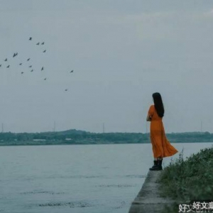 如果你活得很累很迷茫，就去看看这5头驴的故事