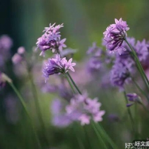 思无止，念无涯