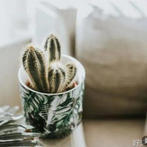 好​心态，才有好人生