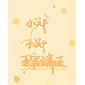 姓氏的优美句子